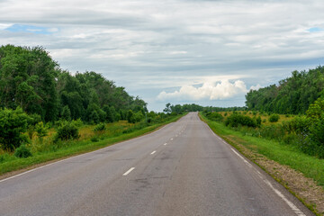 Fototapeta premium Empty asphalt road rolling through green hills under a cloudy sky. Conceptual image for life journey, future career paths, road trip adventure, and business strategy.