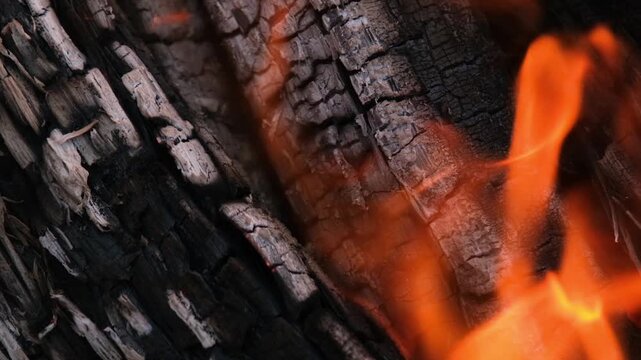 Glowing embers and burning logs with intense orange flames, fiery background, slow motion