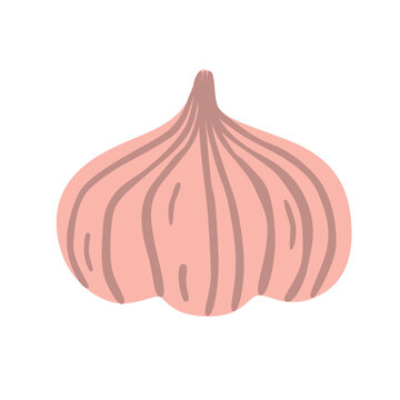 Flat vector illustration of a fresh garlic bulb isolated on white. Natural vegetable suitable for food, cooking, kitchen, seasoning, gardening, agriculture and harvest designs.