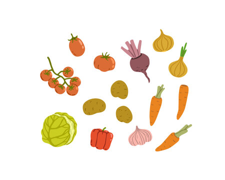 Flat vector illustration of a vegetable collection featuring tomatoes, beet, onions, cabbage, carrots, potatoes, pepper and garlic. 