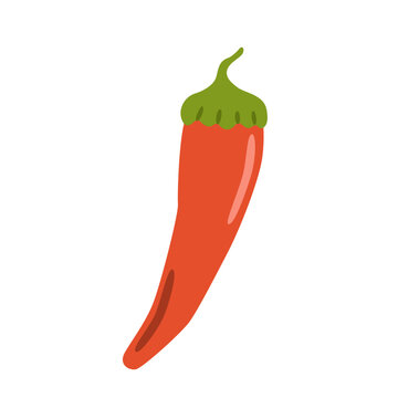 Flat vector illustration of a red chili pepper with a green stem. Fresh spicy vegetable isolated on white, ideal for food, cooking, kitchen, seasoning and harvest designs.