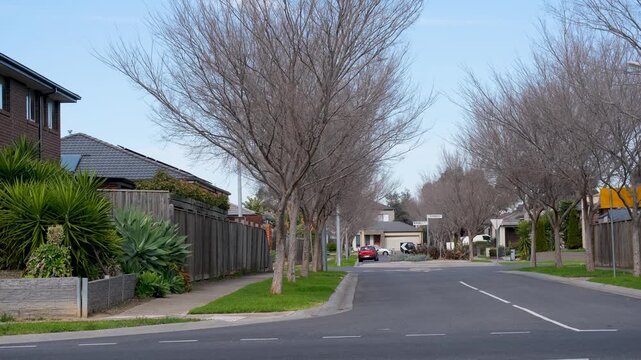 Bare winter trees line a quiet suburban street with passing cars and modern homes in Point Cook, Melbourne, Australia. Mature street tree planting and seasonal change within a new estate neighborhood