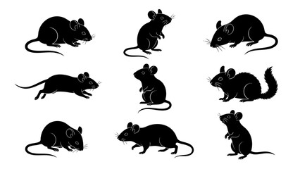 Obraz premium set of rats silhouettes, set of mouse black and white vector