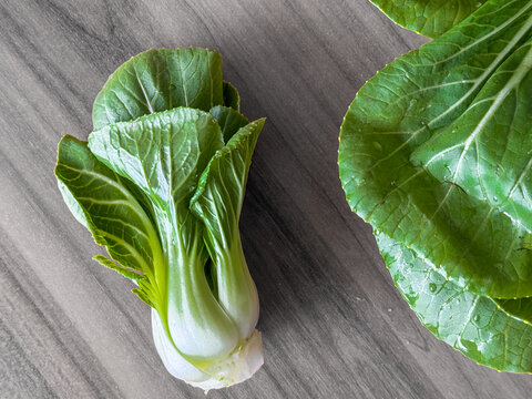 Fresh organic bok choy cabbage on a neutral background, healthy green leafy vegetable for asian cuisine