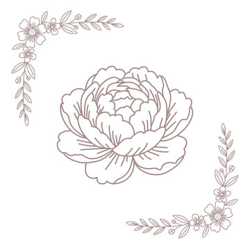 Flower Illustration For Wedding