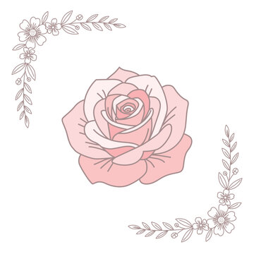 Flower Illustration For Wedding