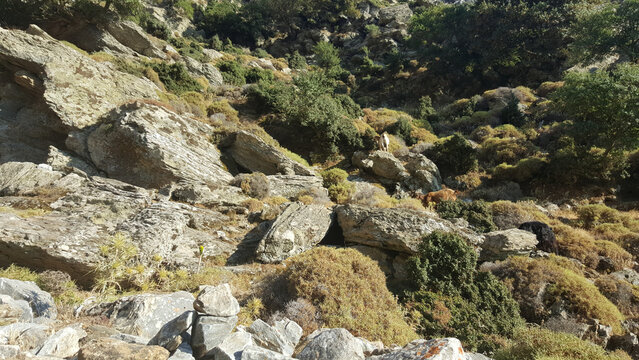 Rocky mountain landscape with stone texture and sparse vegetation