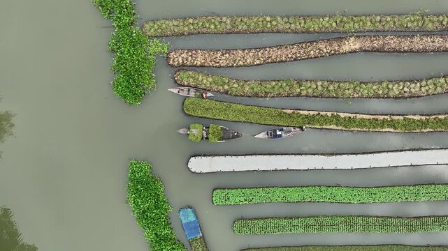 Asian floating vegetable garden farmers cultivating crops from boats