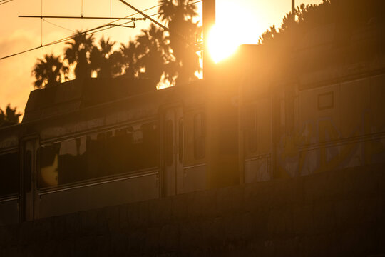 View of a train passing by at sunset with palm trees silhouetted against the golden light in Cascais, Lisbon, Portugal.