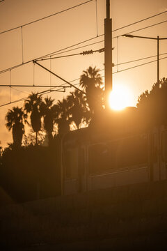 View of a train silhouette passing by palm trees during a golden sunset in Cascais, Lisbon, Portugal.