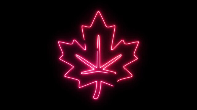 Neon red maple leaf outline against a dark background