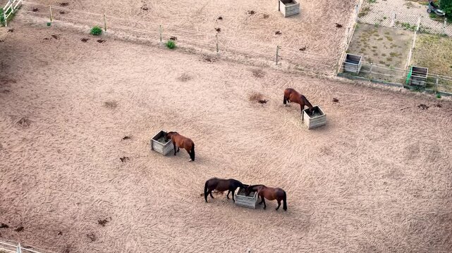 Top-down drone view shows four horses feeding from metal hay boxes inside sandy paddock enclosed by electric fencing. Textured ground, hoof marks and sparse manure create rural equestrian pattern