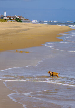English summertime seaside