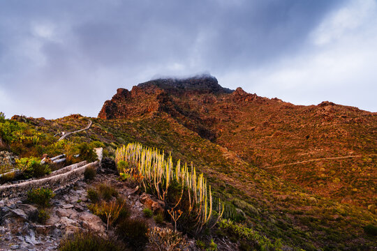 View of the rugged volcanic mountain landscape with cacti and a hiking trail under a dramatic cloudy sky in Costa Adeje, Canary Islands, Spain.