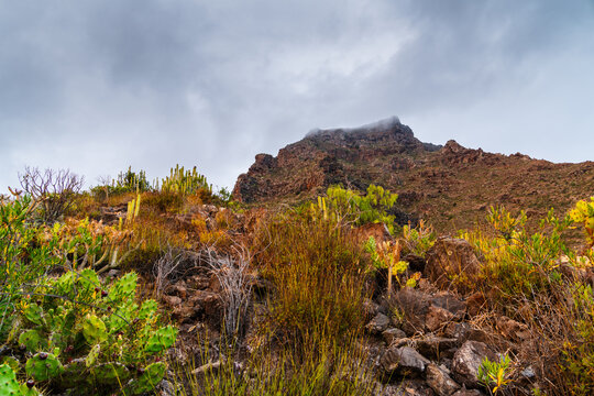 View of the rugged mountainous landscape with cacti and rocky terrain under a cloudy sky in Costa Adeje, Canary Islands, Spain.