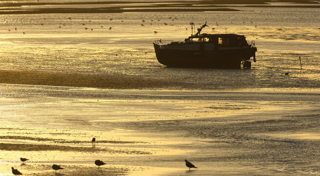 View of the wadden shore at low tide with a stranded boat and birds on the mudflats during golden hour in Esbjerg, Denmark.