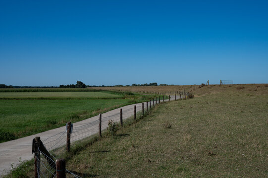 A rural dike path leads along a fence under a clear blue sky, dike landscape on the Hunte in summer in 27798 Hude, Germany