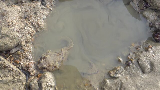 The tide invades the sandy area of littoral and rotates the water in the sea baths, tidal change, syzygial tide, tidewater