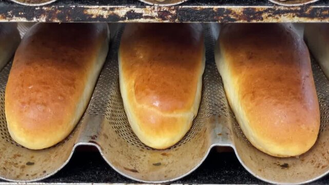 rows of golden-brown bread rolls rest in corrugated perforated molds across stacked oven racks, showing even browning, glossy tops, and warm bakery texture detail