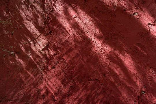 Red painted concrete wall texture with natural leaf shadows, creating an abstract aesthetic pattern for background designs and mockups.