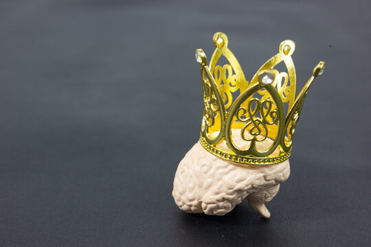 Toy brain wearing a crown with clean copy space, symbolizing intelligence, wisdom, leadership, creativity, critical thinking, superior knowledge, cognitive ability, and the power of the mind.