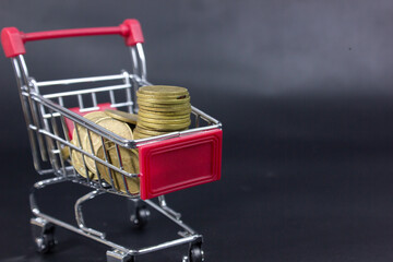 Miniature shopping cart fill coins, symbolizing shopping planning, household needs, budget management, daily expenses, smart spending, financial priorities, and responsible household purchasing  © bizdof photo