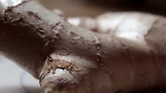 Pan Across Ginger Root