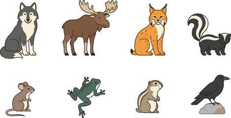 Obraz premium Collection of woodland wildlife vectors including grey wolf north american moose bobcat skunk little mouse green frog ground squirrel and black raven