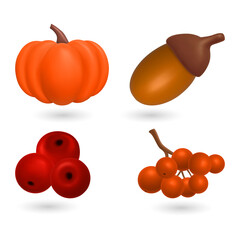Autumn harvest still life with pumpkin acorn berries on transparent background © MSTSAKHINA