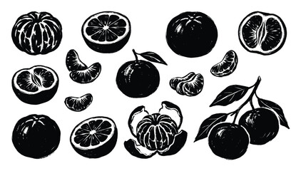 Naklejka premium Clementine mandarin citrus fruit vector collection, black silhouette illustration