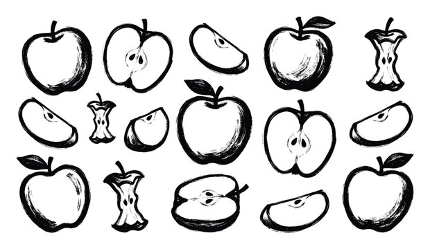Apple brush stroke vector collection, whole half slice core fruit set