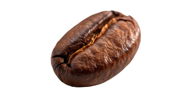 Single roasted aromatic brown coffee bean seed isolated on transparent background.
