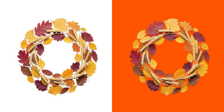 Autumn leaves wreath with wheat ears for seasonal decoration transparent png