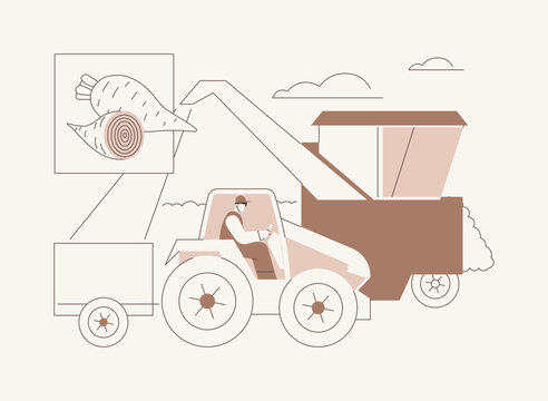 Sugar beets processing isolated cartoon vector illustrations.