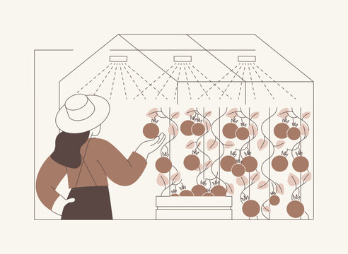 Tomato greenhouse isolated cartoon vector illustrations.