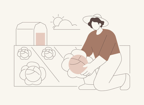 Cabbage farming isolated cartoon vector illustrations.