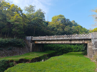 Fototapeta premium Concrete Bridge Over Grassy Stream in Forest