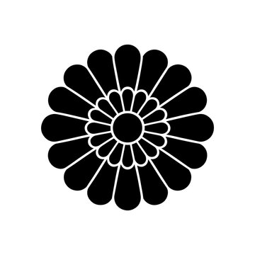 Black chrysanthemum flower silhouette on a white background detailed floral design element