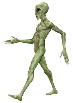 3D Rendering Green Alien on White