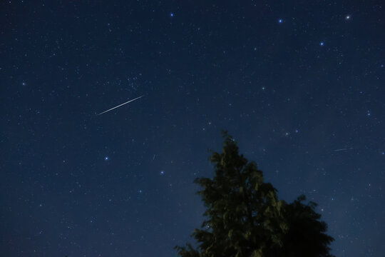 Constellations, landscape, Milky Way stars on a dark countryside skies.