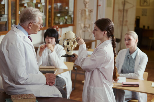Caucasian young adult female student explaining skull anatomy to senior Caucasian male professor in university lab. Image suitable for medical education and university recruitment