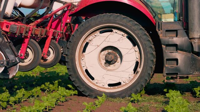 Agricultural Inter-row cultivator performing mechanical cultivation and weed control between rows of young sunflower plants in an agricultural field during the early growing season. slow motion video