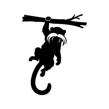 Black silhouette of a playful otter hanging from a branch on a white background