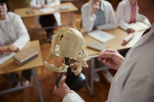 Middle aged male professor holding human skull model during anatomy lecture for medical students. Image suitable for university brochures and healthcare education marketing, high angle view