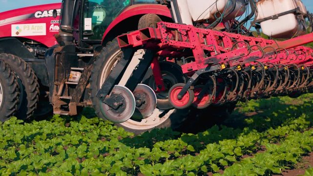 Agricultural Inter-row cultivator performing mechanical cultivation and weed control between rows of young sunflower plants in an agricultural field during the early growing season. slow motion video