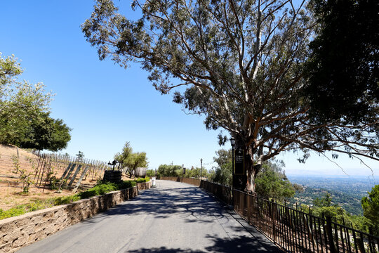 Mountain Winery driveway overlooking the valley in Saratoga California USA