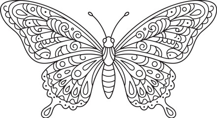 Butterfly Illustration Intricate Line Art On White Background © joy