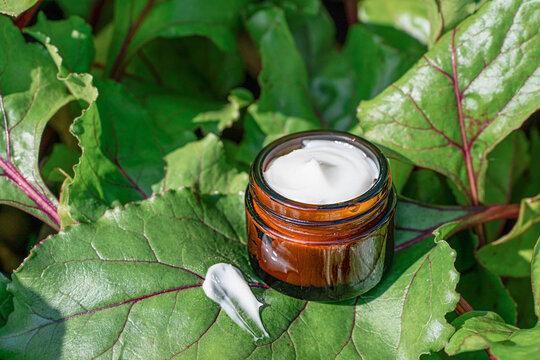 Organic cosmetic cream in a jar with a swatch on fresh green leaves, symbolizing natural plant-based skincare and beauty. Natural and organic approach to skincare
