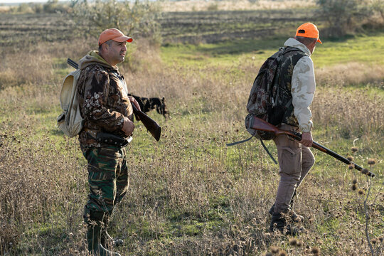 A hunters in camouflage clothing with a gun in his hands walks along the reeds.