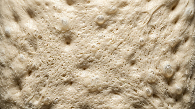 Closeup of bubbly sourdough bread dough texture, abstract background